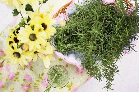 Florales Gestalten Bischfoswerda Chamaeleon ev