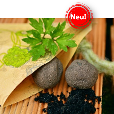 NEU! Ein Stück Natur - Kurs für Kinder zwischen 8-12 Jahren